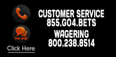 GO4BETS - sports betting online