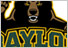 BAYLOR