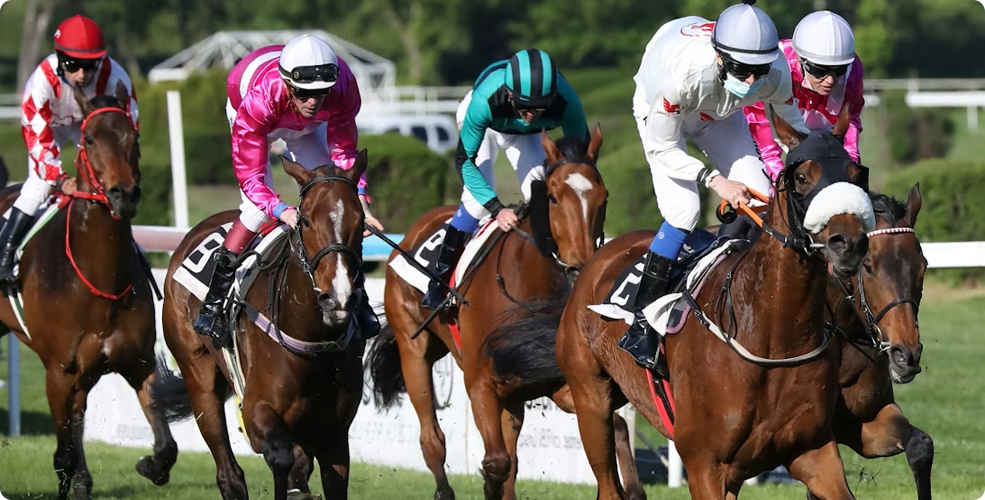 Horse race with jockeys on the track